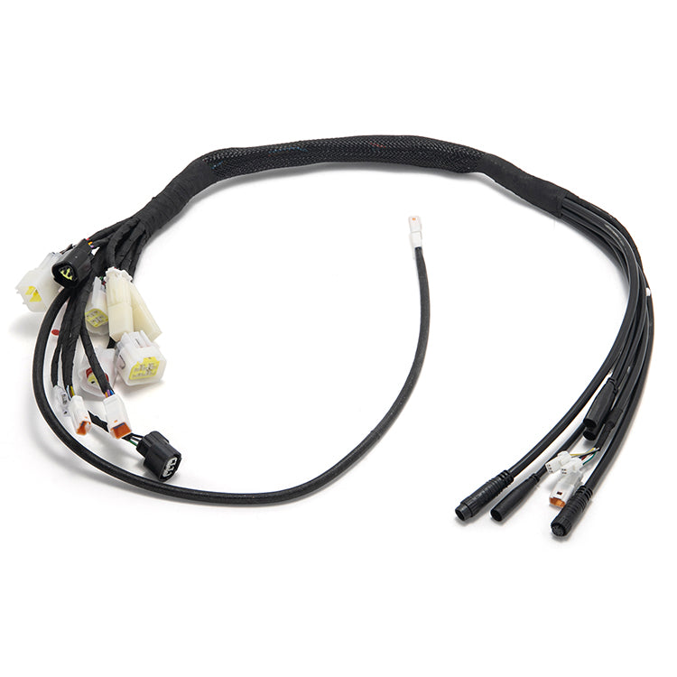 Main Wiring Harness Assy for Talaria XXX 2