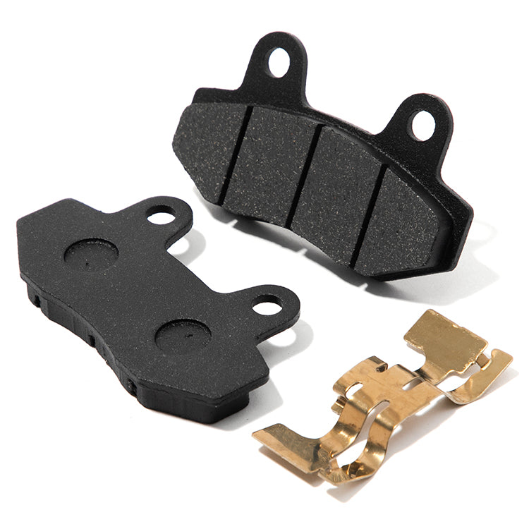 DOT 4 Aluminum Hydraulic Rear Foot Brake & Dual Caliper Bracket for Surron Ultra Bee 6