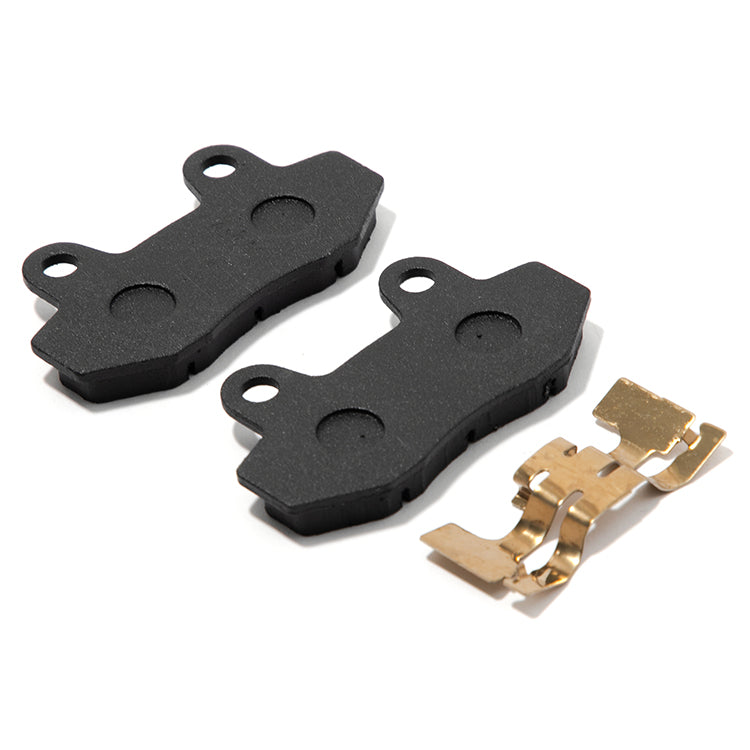 DOT 4 Aluminum Hydraulic Rear Foot Brake & Dual Caliper Bracket for Surron Ultra Bee 8