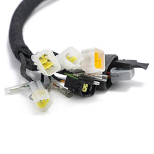 Load image into Gallery viewer, Main Wiring Harness Assy for Sur-ron Ultra Bee