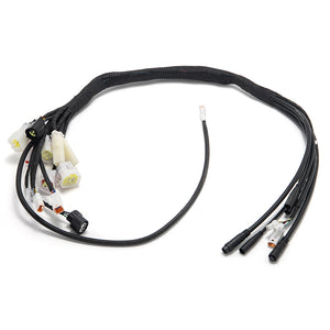 Main Wiring Harness Assy for Talaria XXX