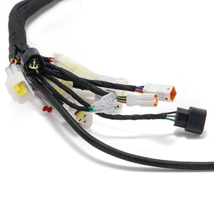 Main Wiring Harness Assy for Talaria XXX