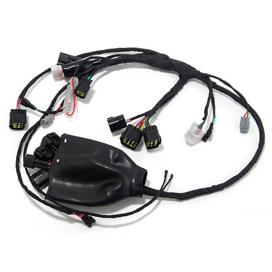 Wiring Harness Assy for Sur-ron Light Bee X / Segway X160 X260 / 79-Bikes / E Ride Pro-SS