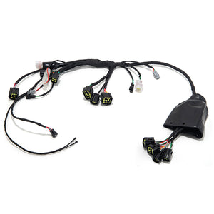 Wiring Harness Assy for Sur-ron Light Bee X / Segway X160 X260