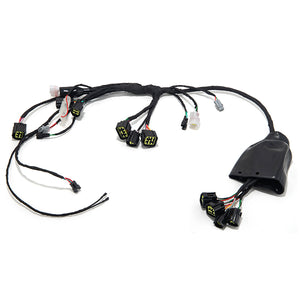 Wiring Harness Assy for Sur-Ron Light Bee X / Segway X160 X260 / 79Bike Falcon M