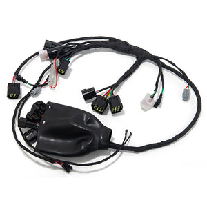Wiring Harness Assy for Sur-Ron Light Bee X / Segway X160 X260 / 79Bike Falcon M
